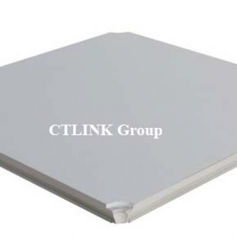 Sàn nâng Canxi Silicat Malaysia